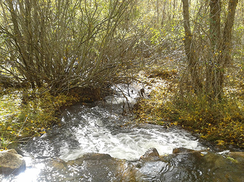 El agua fluye por el rio Cañamares